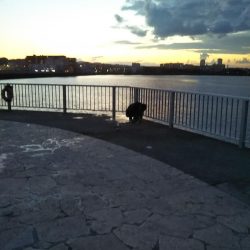 雨上がりの土曜日