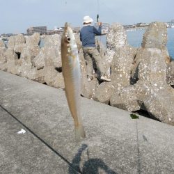 東二見釣行
