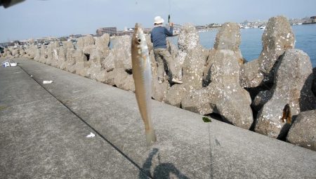東二見釣行