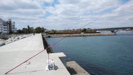 強風の東二見釣行