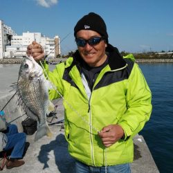 海水温低下しキスの活性下がる