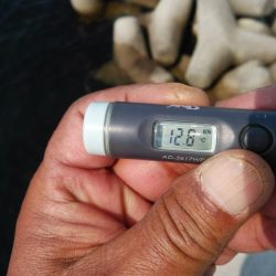 風が無く最高の釣り日和でした