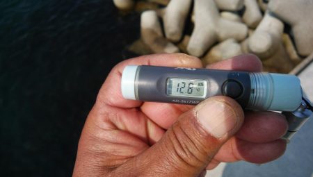 風が無く最高の釣り日和でした