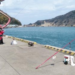 寒い津居山小島でキス狙い