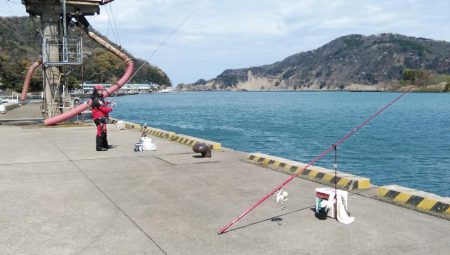 寒い津居山小島でキス狙い