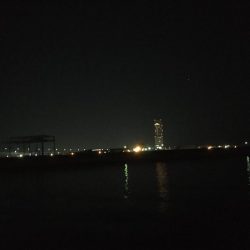 大潮だったのにorz