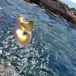 フカセが一番・・面白いです・・釣れない四月・・