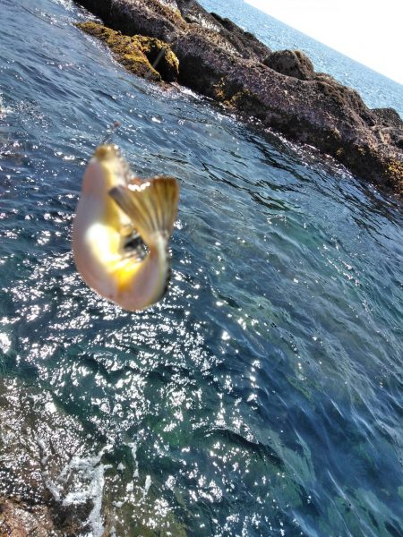 フカセが一番・・面白いです・・釣れない四月・・