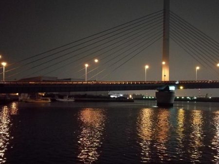 南港へち釣行 (2020/04/18 南港ヘチ釣り キビレチヌ(36.5cm)釣果有り)