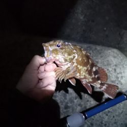 味噌汁リベンジ