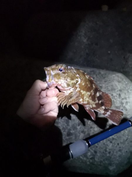 味噌汁リベンジ