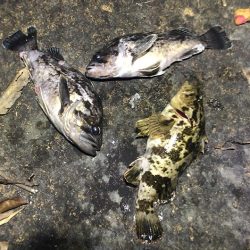 春のタケノコがり