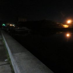 令和２年初投稿は地元シーバス！