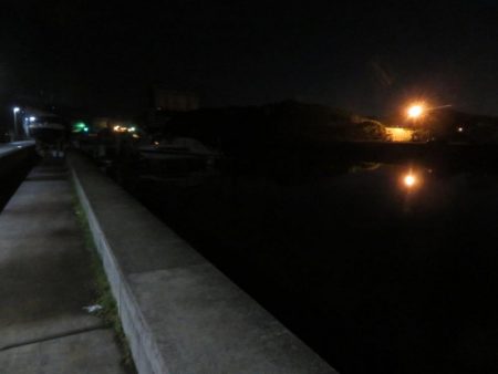 令和２年初投稿は地元シーバス！