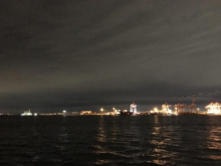 コロナに負けずコスモに