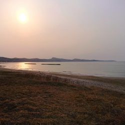 恐らく住んでいる地域最速でのキャッチ