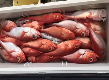 浜田釣舟　キンメ釣り