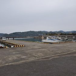 デカメバル、記録更新!