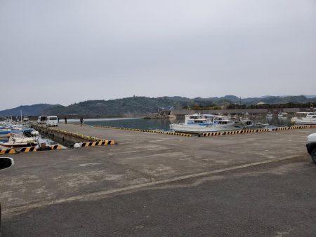 デカメバル、記録更新!