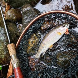 寒いなか頑張りました！