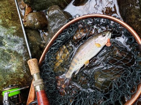 寒いなか頑張りました！