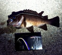 フロートアジング