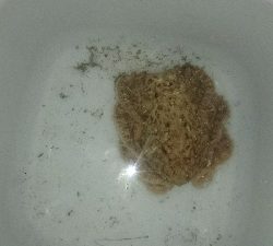 もはや顔馴染みの常連に