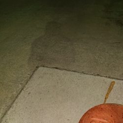 チョー久しぶりです!