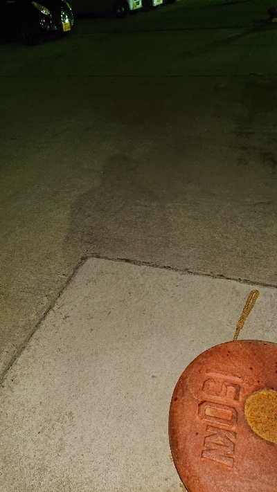 チョー久しぶりです！