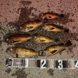 プラグに好反応♪