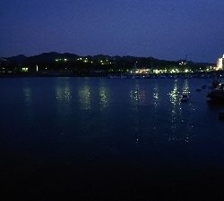 ささっとアジ調査