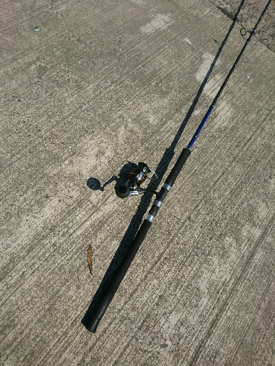 今季初ヒラメ50センチ弱1投目でゲット！