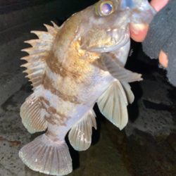 春になったらここ