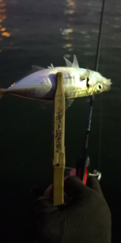 アジング 練習 133