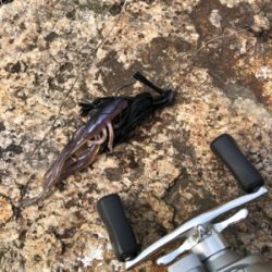 今年初の•••