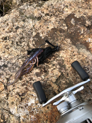 今年初の•••