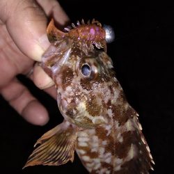 ナイトメバリング