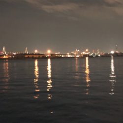 たまにはダウンショットで・・・