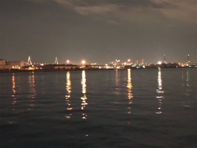 たまにはダウンショットで・・・