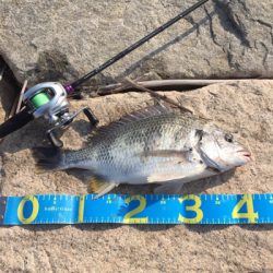 淀川ブリームゲーム