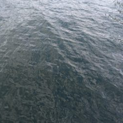 のんびりフィッシング