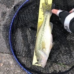 兵庫で初バス☆GUNNING-STYLE