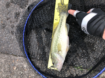 兵庫で初バス☆GUNNING-STYLE