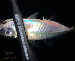 スーパームーン