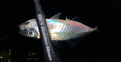 スーパームーン