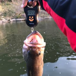 1日ボート釣行！