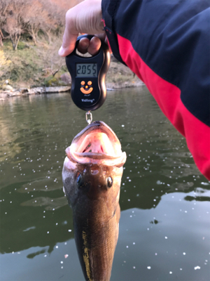 1日ボート釣行！