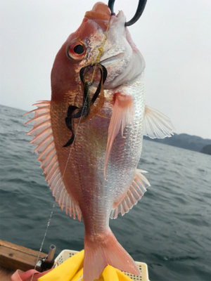 マイボートで1人タイラバ釣行