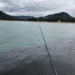 昼間にマゴチ！！55cm