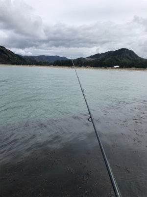 昼間にマゴチ！！55cm